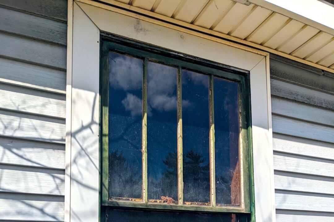 Ask the Builder: Pondering Window Replacements? Stop and Think