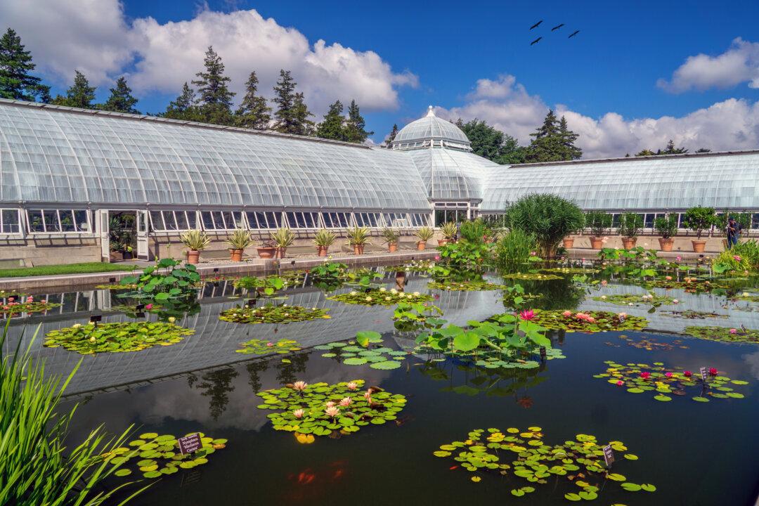 Get out and Smell the Wildflowers This Season