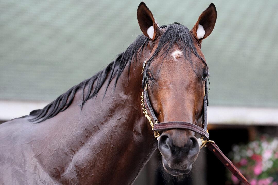 Kentucky Derby Should Be One of the Most Competitive in Years