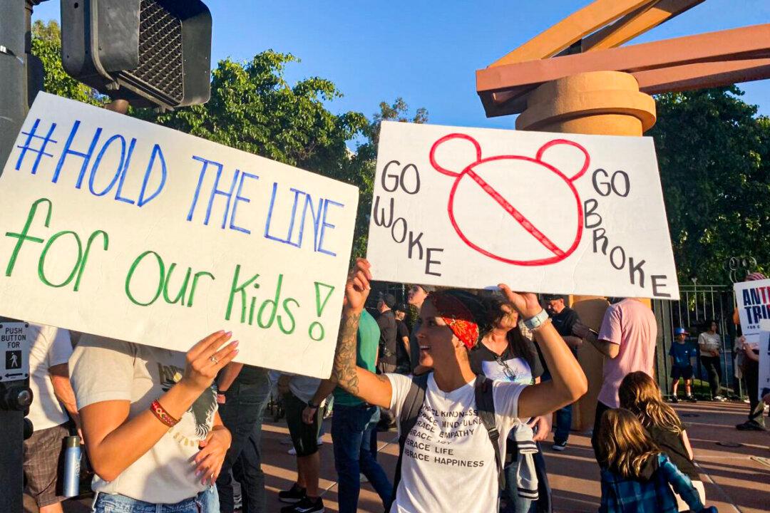 Large Corporations Attempt to ‘Usurp the Power of Government’ Contrary to Shareholders’ Interests: Expert