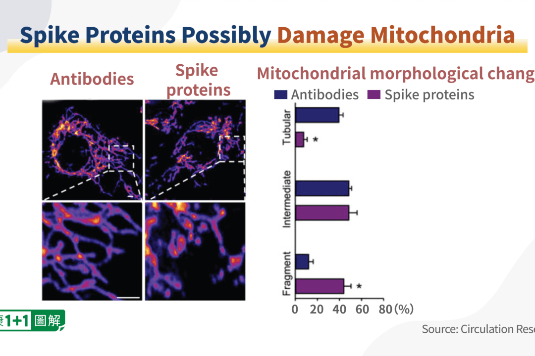 8 Ways Spike Protein Harms the Body and How to Remove It