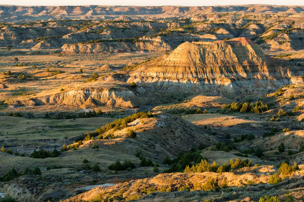 North Dakota State House Declares People Superior to Animals and Inanimate Objects