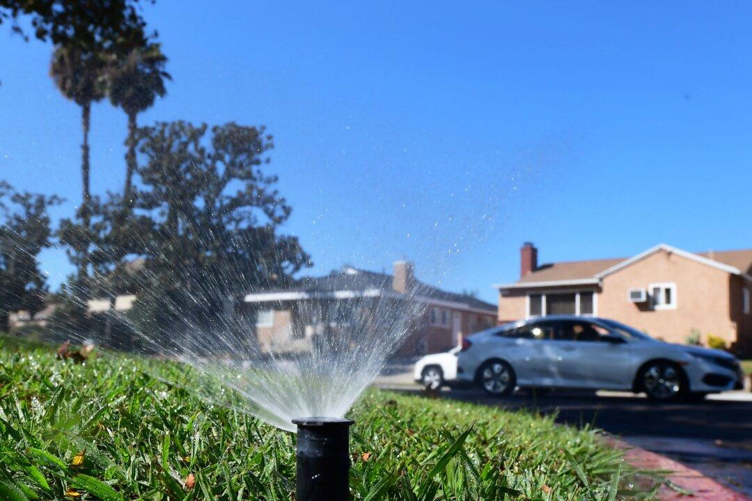 LA Restricts Outdoor Watering to 2 Days Per Week