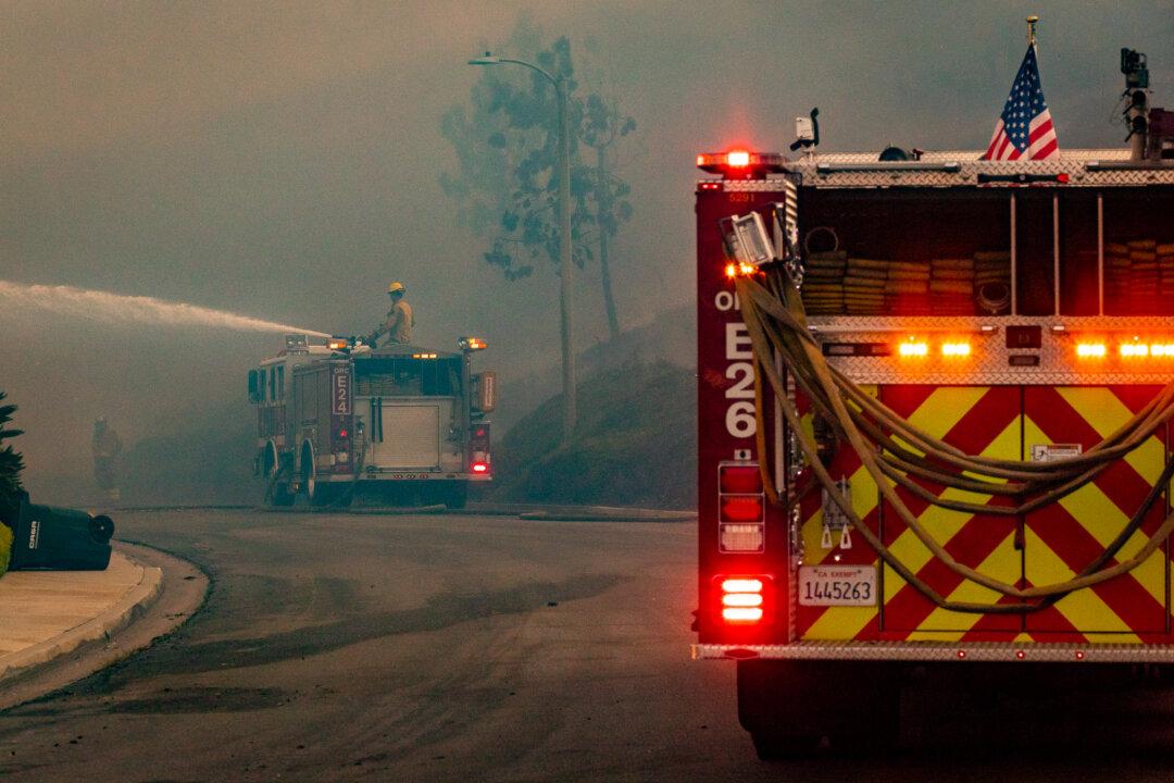 La Mesa Fire Kills Dog, Destroys Apartment, Damages 3 Others