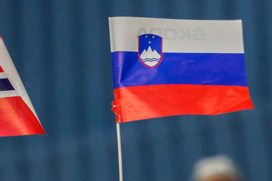 5 Feared Dead After Chemical Plant Explosion in Slovenia