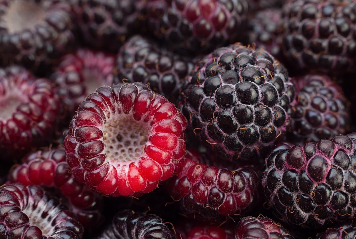 Surprising Health Benefits of Black Raspberries