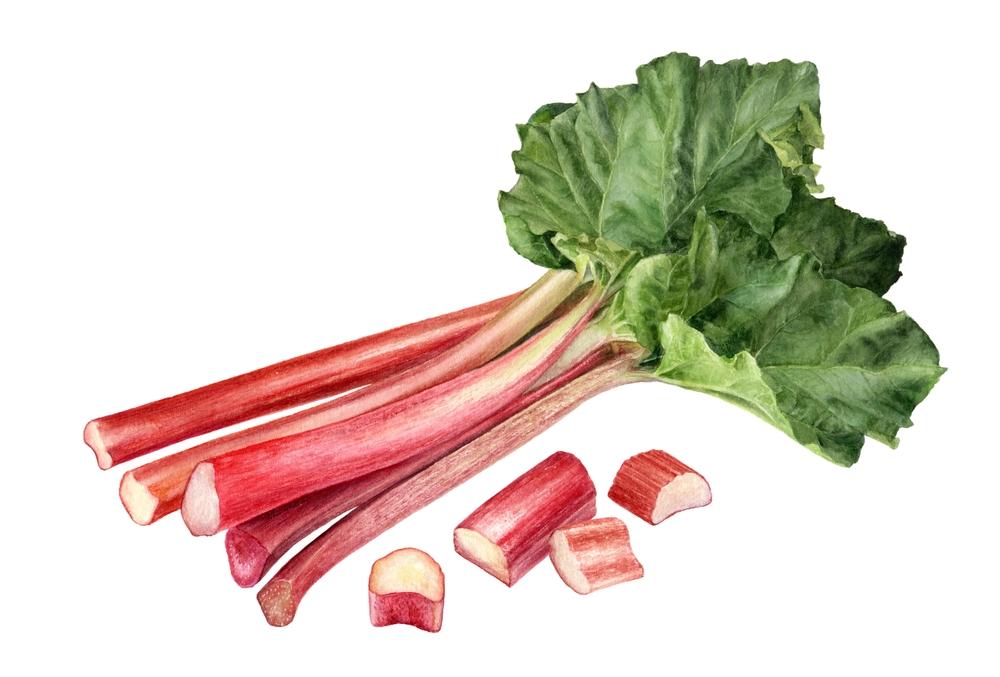 Hold the Sugar—Tart, Juicy Rhubarb Has Tons of Untapped Savory Potential