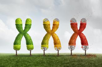 Blue Zones Teach Us How to Protect Our Chromosomes