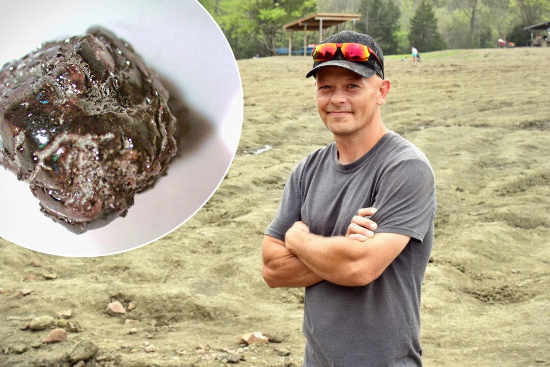 Treasure Hunter Finds 2.38-Carat Diamond in the Dirt in Arkansas State Park After Decades of Sifting