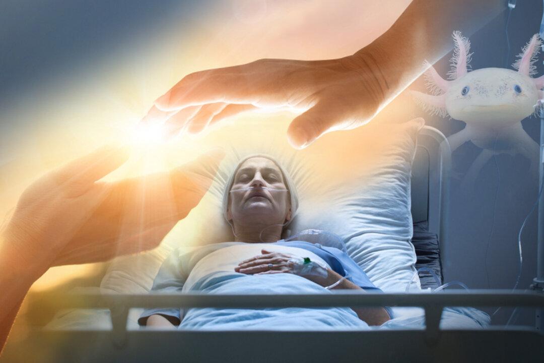 Is Death Reversible? Scientist Shows How ‘Brain Dead’ Patients Could Regenerate, Like Salamanders