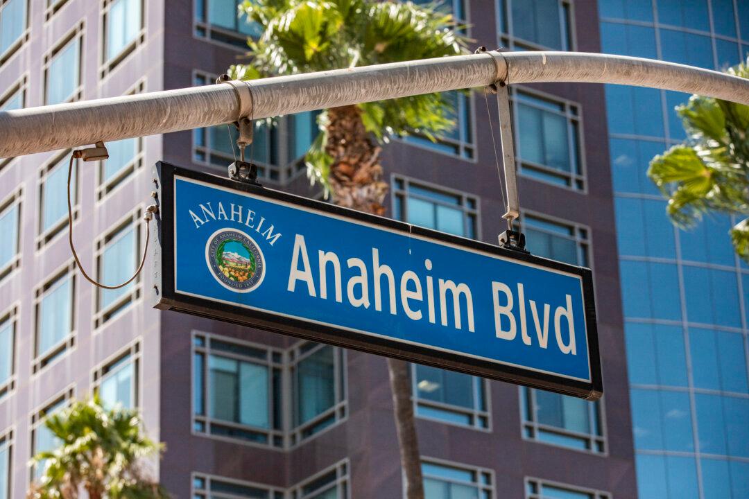 Democratic Party Official Confirms Involvement in Anaheim FBI Probe