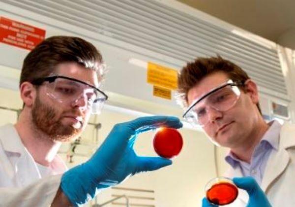 Australian Chemists Develop Way to Extract Mercury from Water Using Waste Material