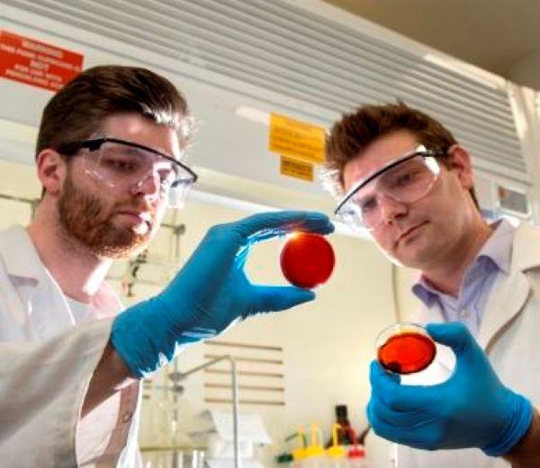 Australian Chemists Develop Way to Extract Mercury from Water Using Waste Material