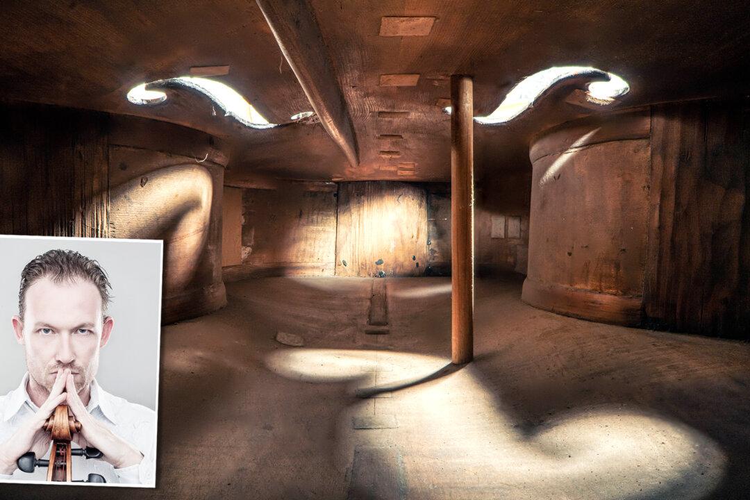 Exclusive Photos of the Interior of Musical Instruments—Check Out the Detailed Hidden Spaces