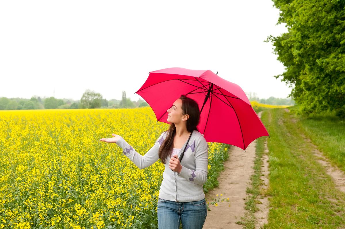 Becoming Weatherwise: A Beginner’s Guide to Learning to Predict the Weather