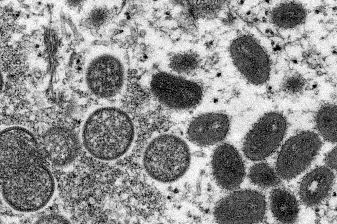 WHO Convenes Experts to Decide If Monkeypox Is a Global Health Emergency