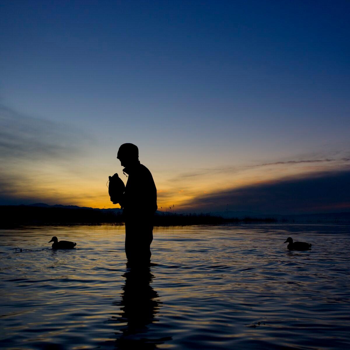 A duck hunter is shown retrieving decoys in this undated photo. (RubberBall Productions/Brand X Pictures/Getty Images)