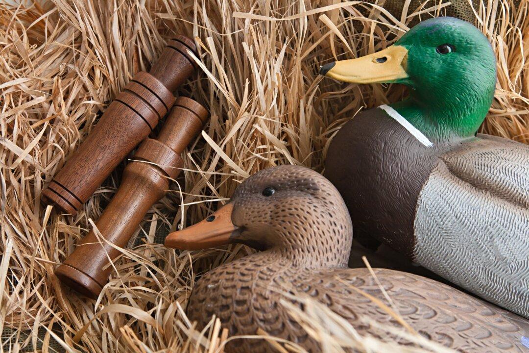 The Fascinating History Behind Hunting Decoys, An American Folk Art Form