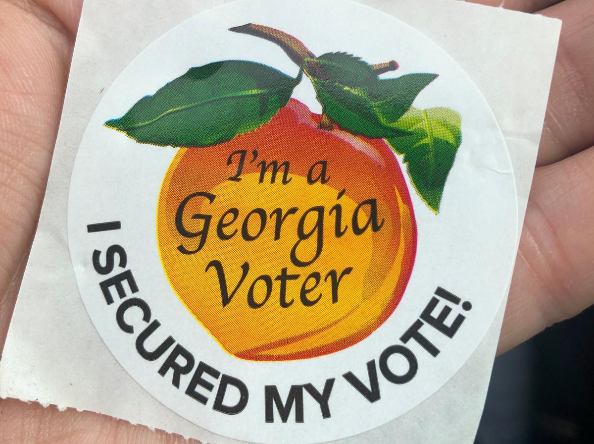 Georgia Voters Experience Few Lines, Express Bipartisan Skepticism on Election Fairness