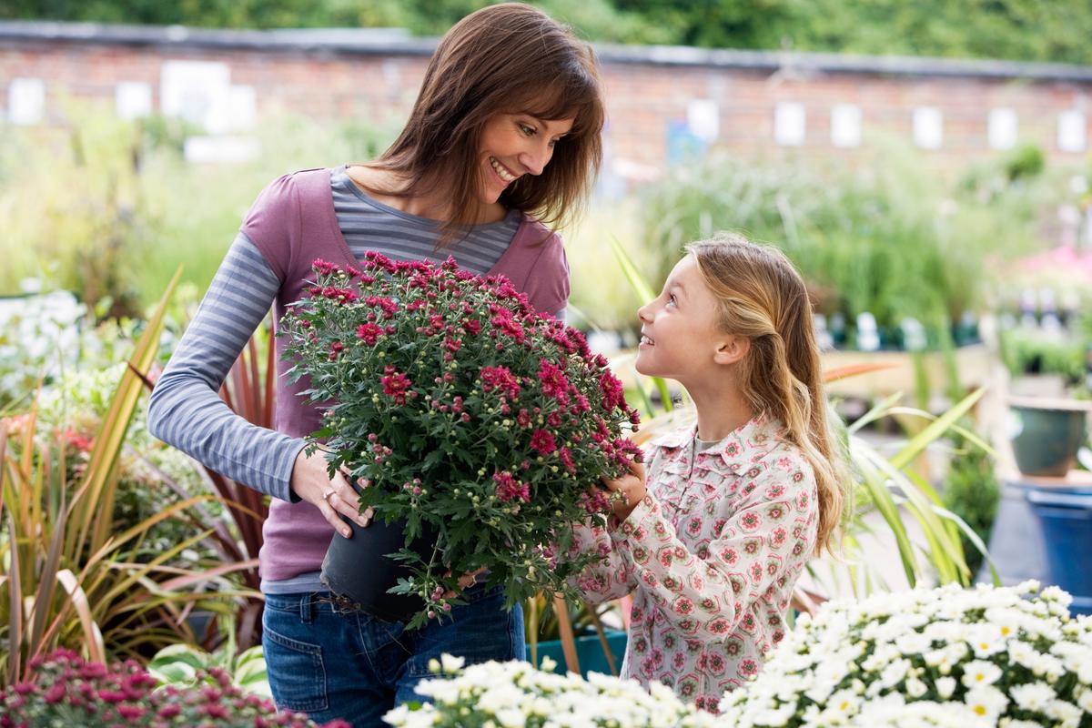 Where to Buy Plants and Moving Bulbs