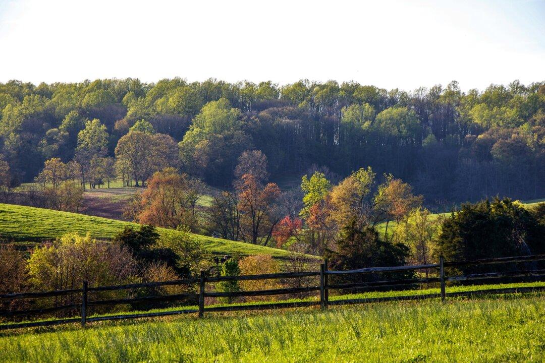 Virginia Sued Over Law That Allows Violation of Ranchers’ Property Rights