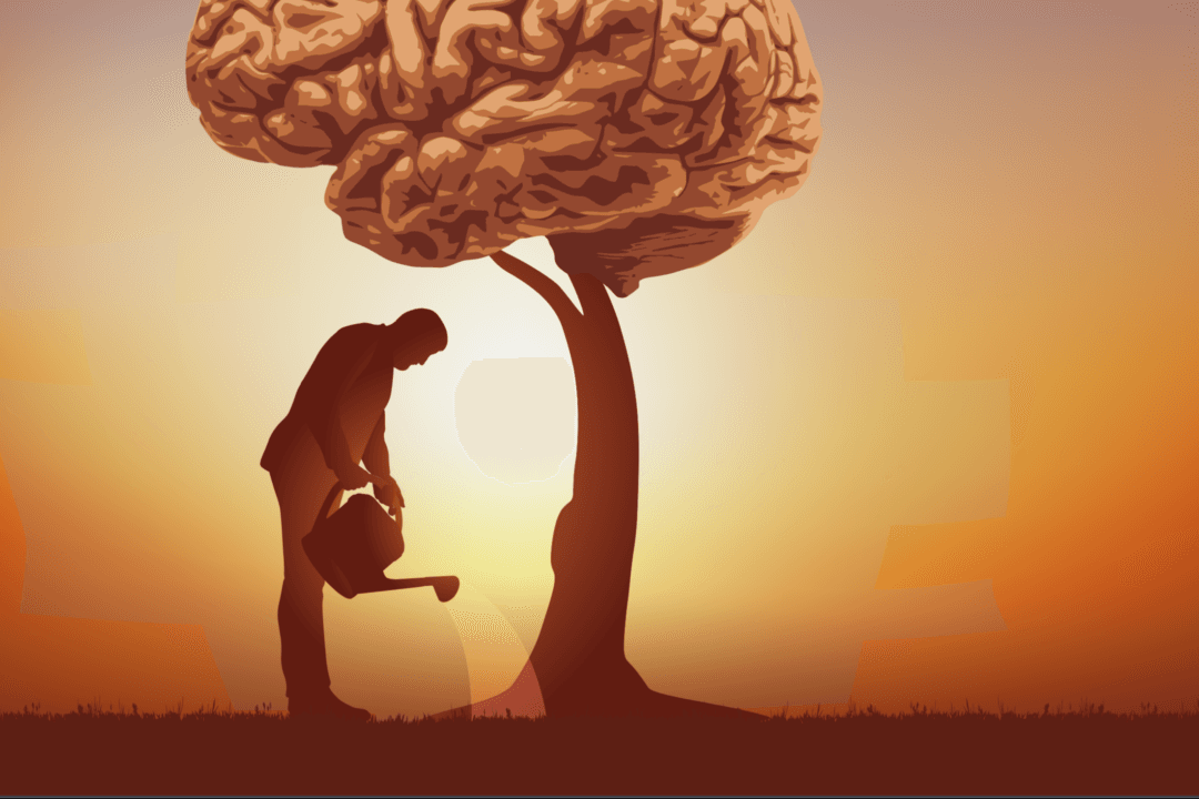 Brain Fog May Be Treated by Healing the Gut