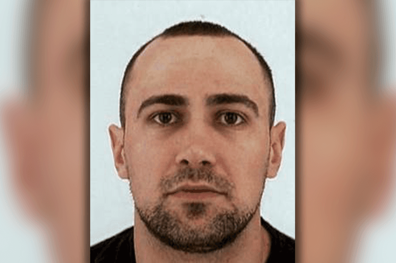 UK National Crime Agency Arrest 4 Over Illegal Immigrant Cannabis Farm