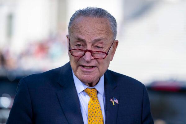 Senate Majority Leader Chuck Schumer (D-N.Y.) speaks to reporters in Washington on May 19, 2022. (Tasos Katopodis/Getty Images)