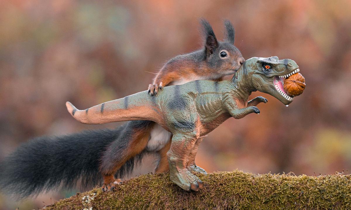 Photographer Captures Squirrels Playing With Toy Dinosaurs in an Adorable Photo Series