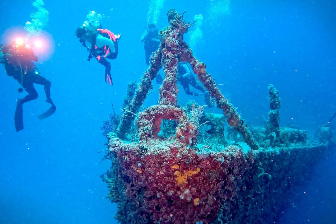 Divers Revisit Navy Ship Sunk to Make Artificial Reef in Florida Keys 20 Years Ago