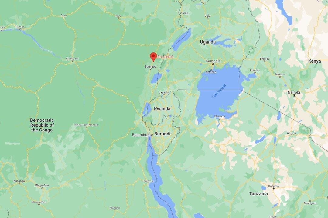 Suspected Islamist Terrorists Kill 15 in East Congo Village