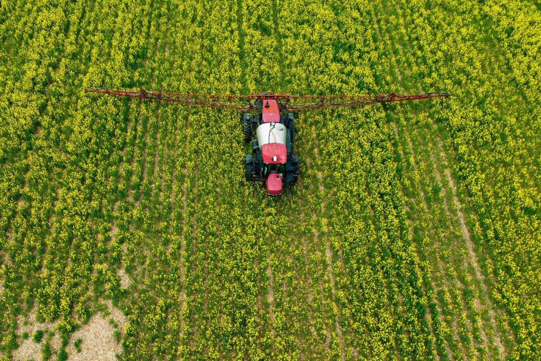 Increasing Number of ‘Forever Chemicals’ Found in Pesticides Sold in US: Study
