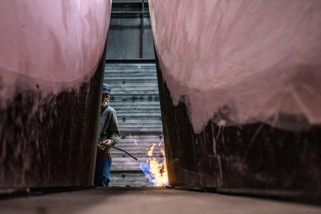 Inflation Heats Up in Eurozone, Hitting Record High in May