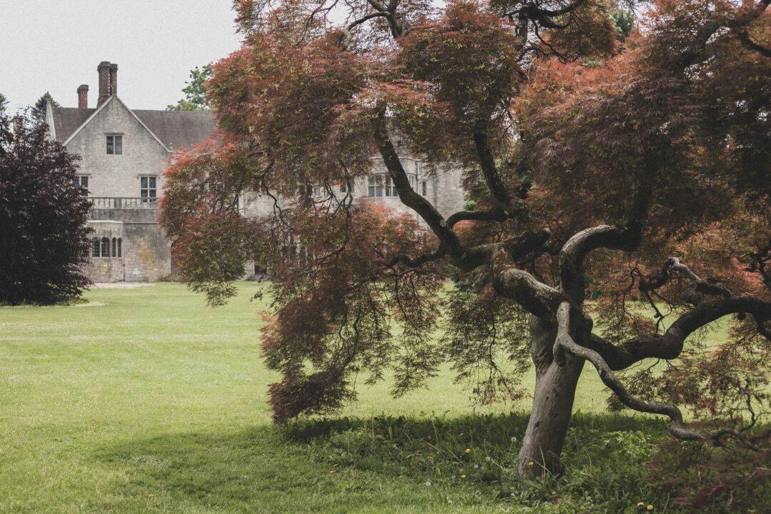 Planting Fields Arboretum: A Botanical Paradise in New York Reminiscent of the Old English Countryside