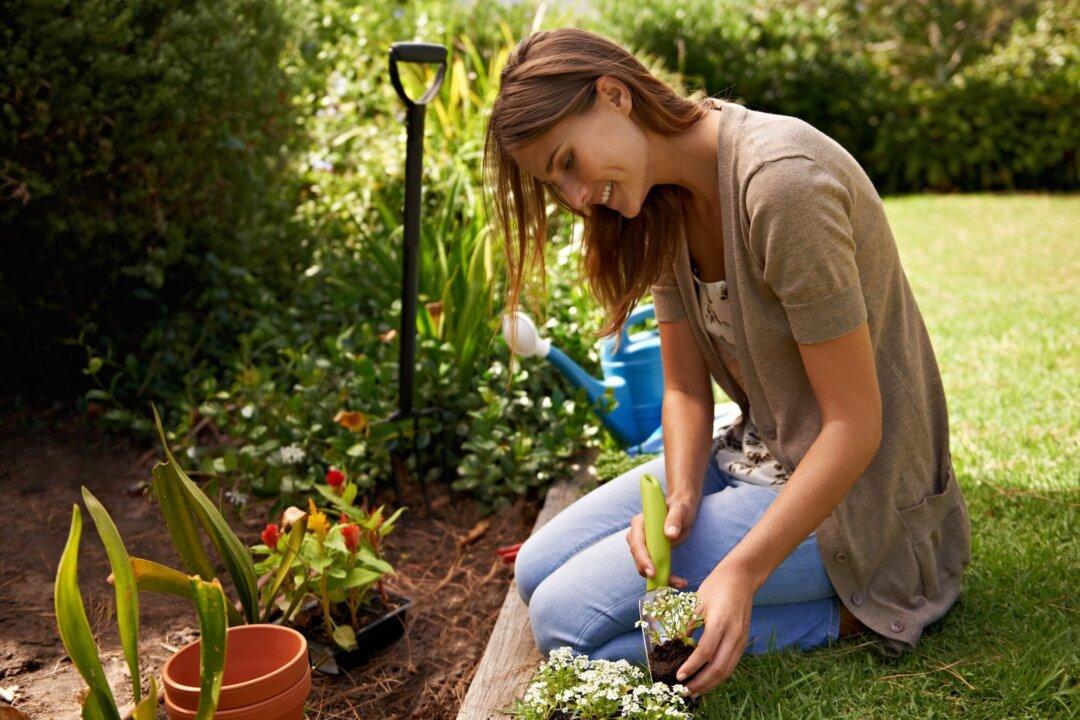 How Gardening Is Good for Your Microbes, Muscles, and Mood