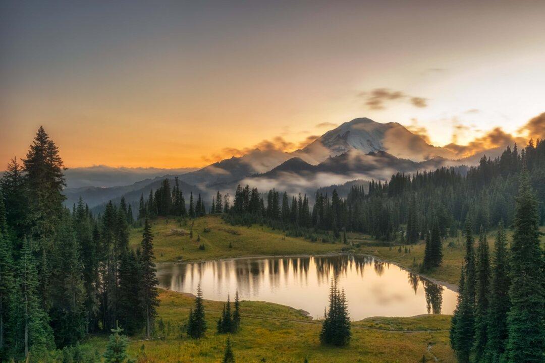 Exploring Mount Rainier, a National Park That Exemplifies the Power of Nature’s Dichotomy