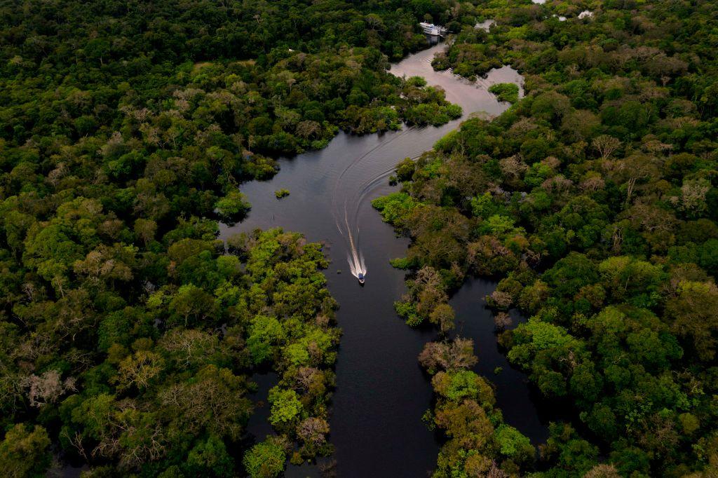 Brazilian President’s Approach to Amazonian Deforestation Leans on ‘Old Corruption Schemes’ and US Funding: Analysts