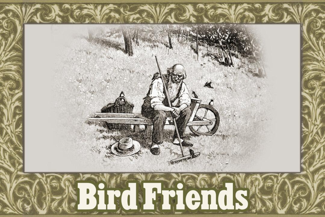 Moral Tales for Children From McGuffey’s Readers: Bird Friends