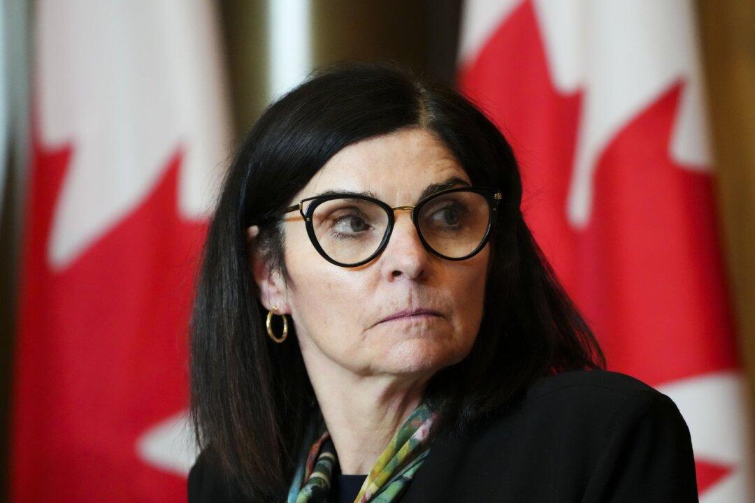 Procurement Minister Defends Shipbuilding Plan Amid Challenges