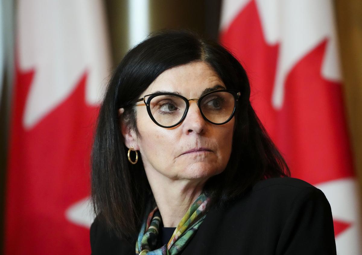 Procurement Minister Defends Shipbuilding Plan Amid Challenges