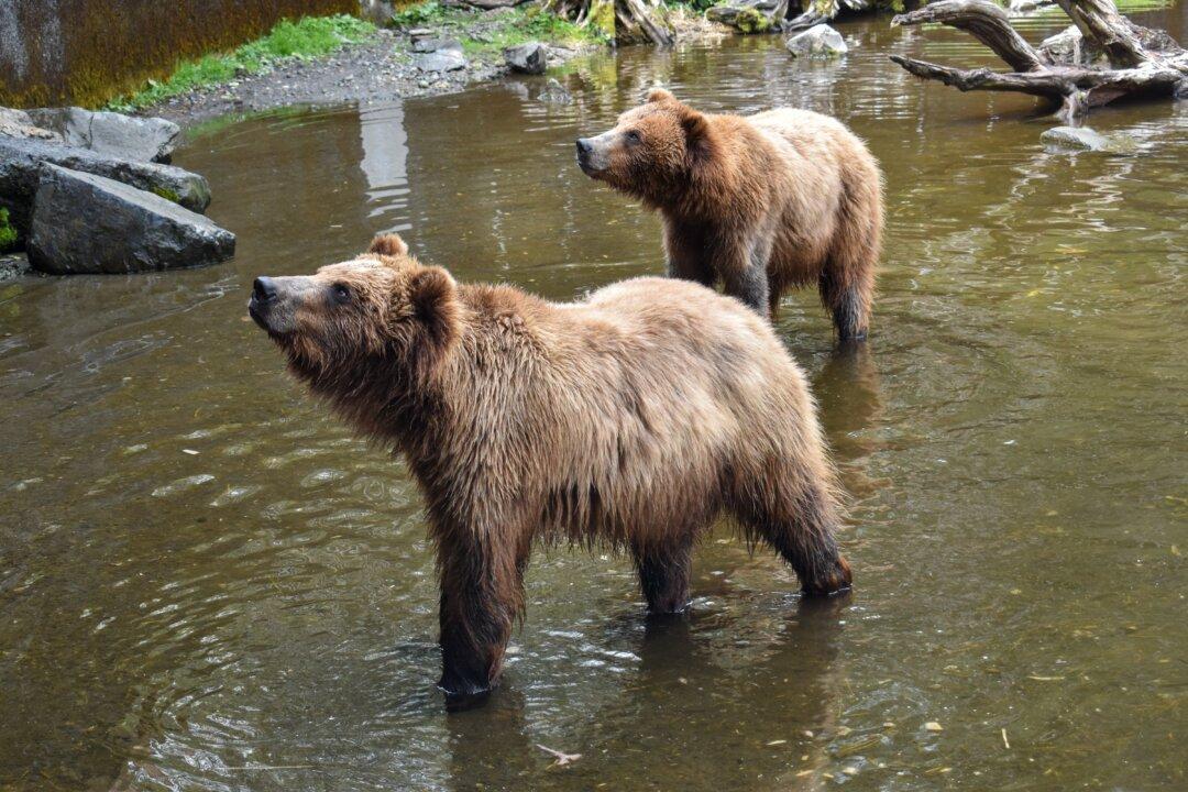 Taking the Kids: To Sitka, Alaska