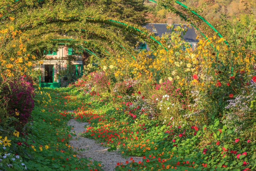 Companion Planting: For Happier Plants, Grow a Garden of Good Neighbors