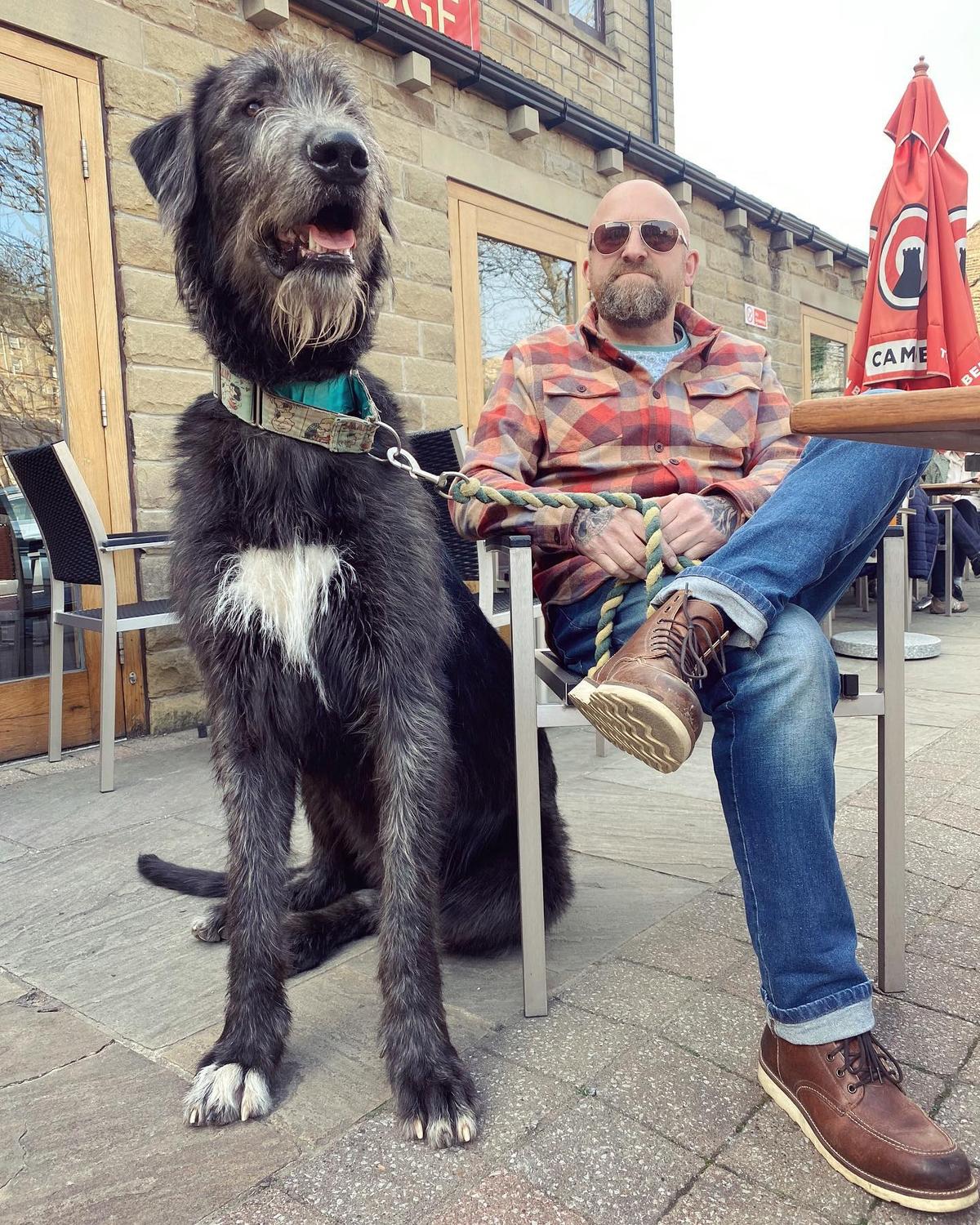 Mav with Wilson. (Courtesy of <a href="https://www.instagram.com/austonley_irish_wolfhounds/">Austonley Irish Wolfhounds</a>)