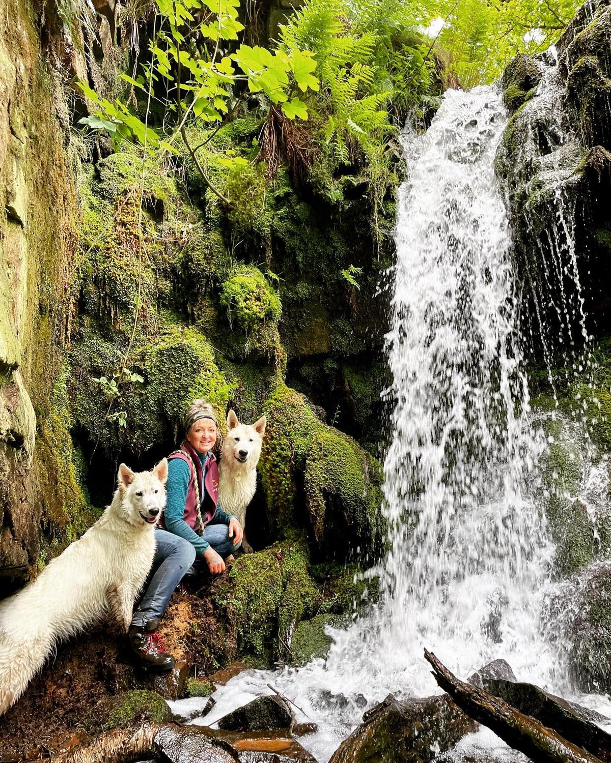 (Courtesy of <a href="https://www.instagram.com/austonley_irish_wolfhounds/">Austonley Irish Wolfhounds</a>)