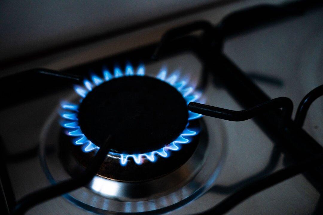 Federal Agency May Ban Gas Stoves Across US Over Health Hazards