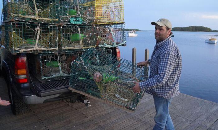 Maine Lobstermen Square Off With Aquarium Over ‘False Statements’ Harming Sales