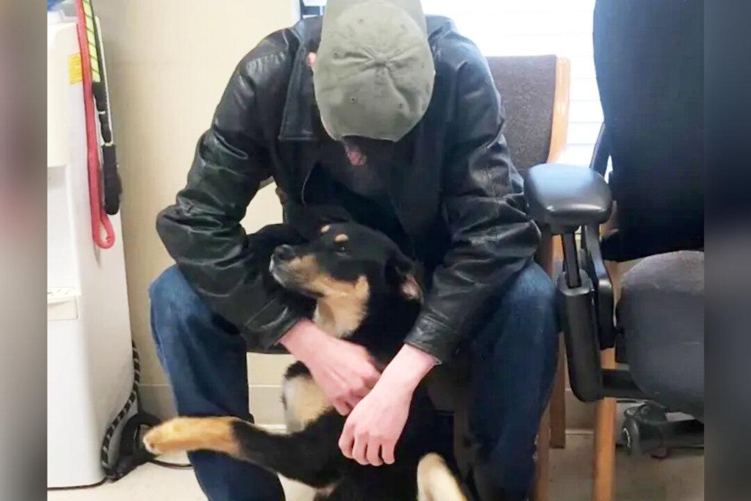 Homeless Teen Living Under Bridge Reunites With Puppy He Surrendered to Animal Shelter