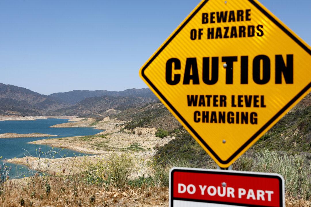 California Needs More Water Infrastructure to Ease Shortage: Expert