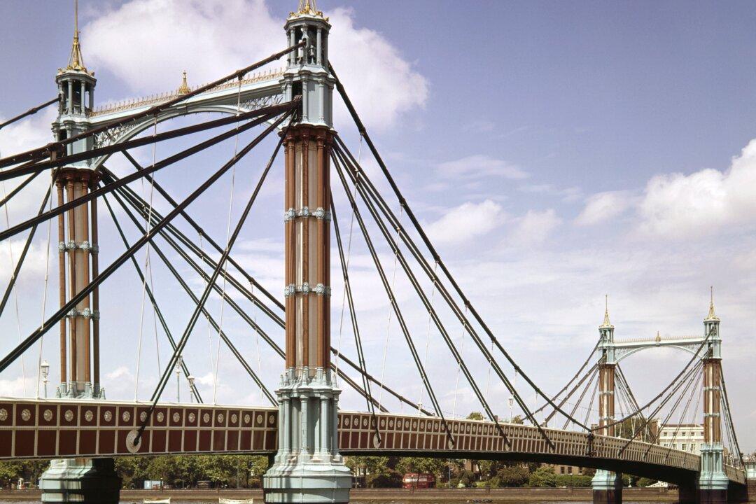 UK Police Watchdog Appeals for Witnesses After Chelsea Bridge Taser Death