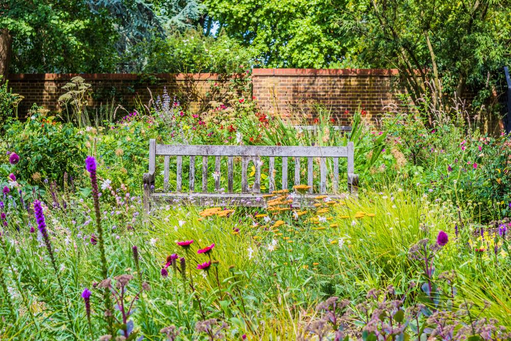 Let Your Garden Go Free: The Case for a Wilder Garden